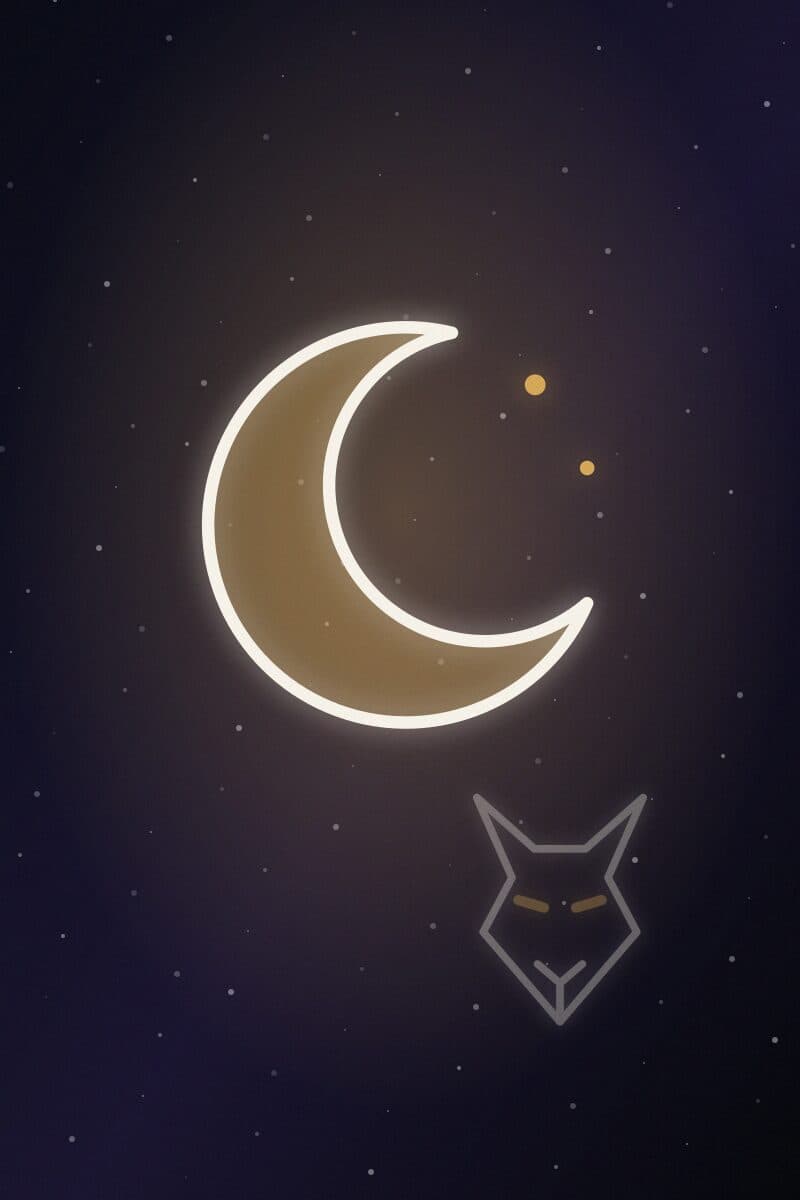 Pursuing My Rejected Luna